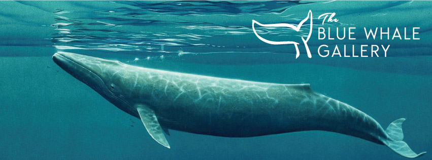 image of The Blue Whale Gallery logo