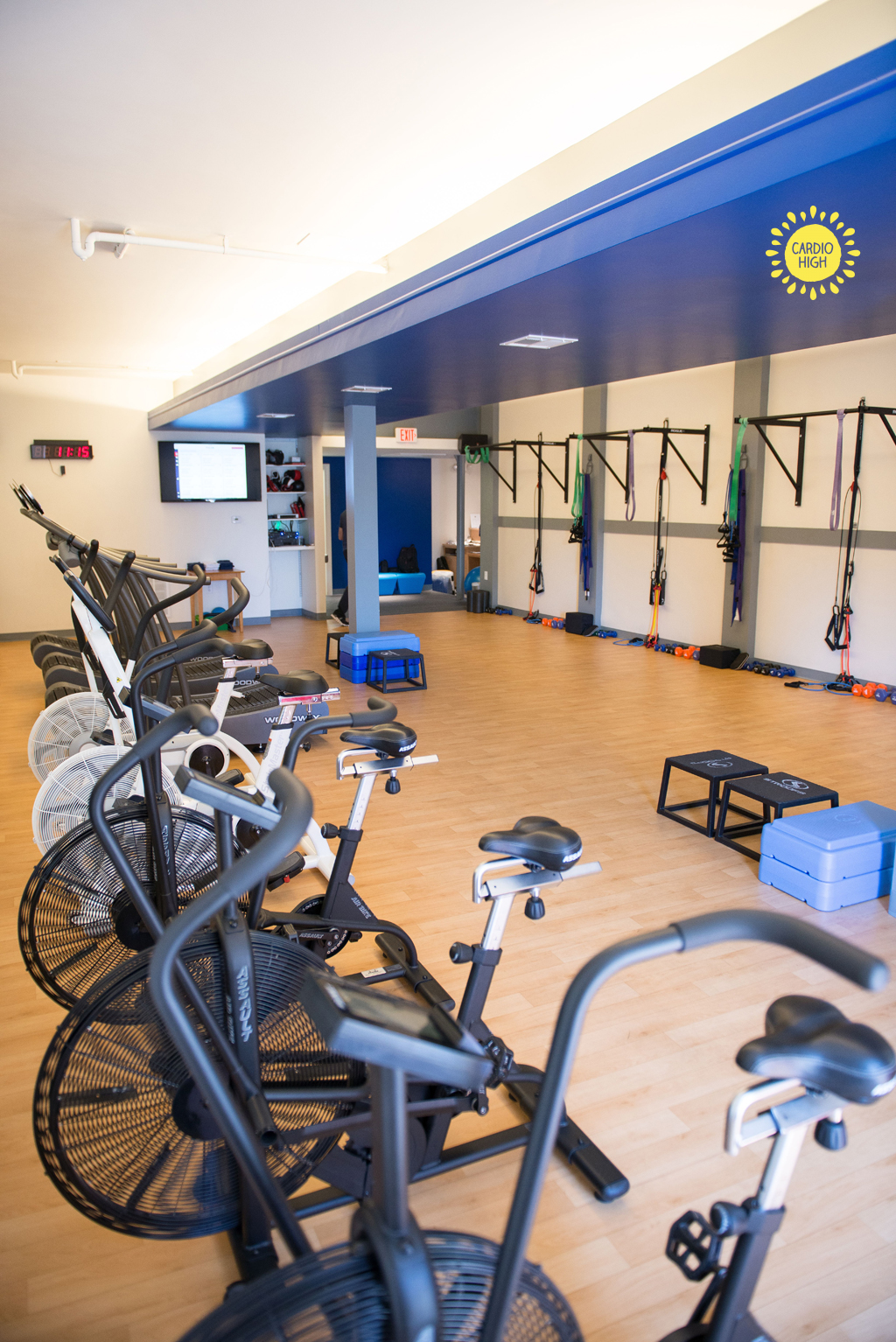image of The beautiful Cardio High fitness studio